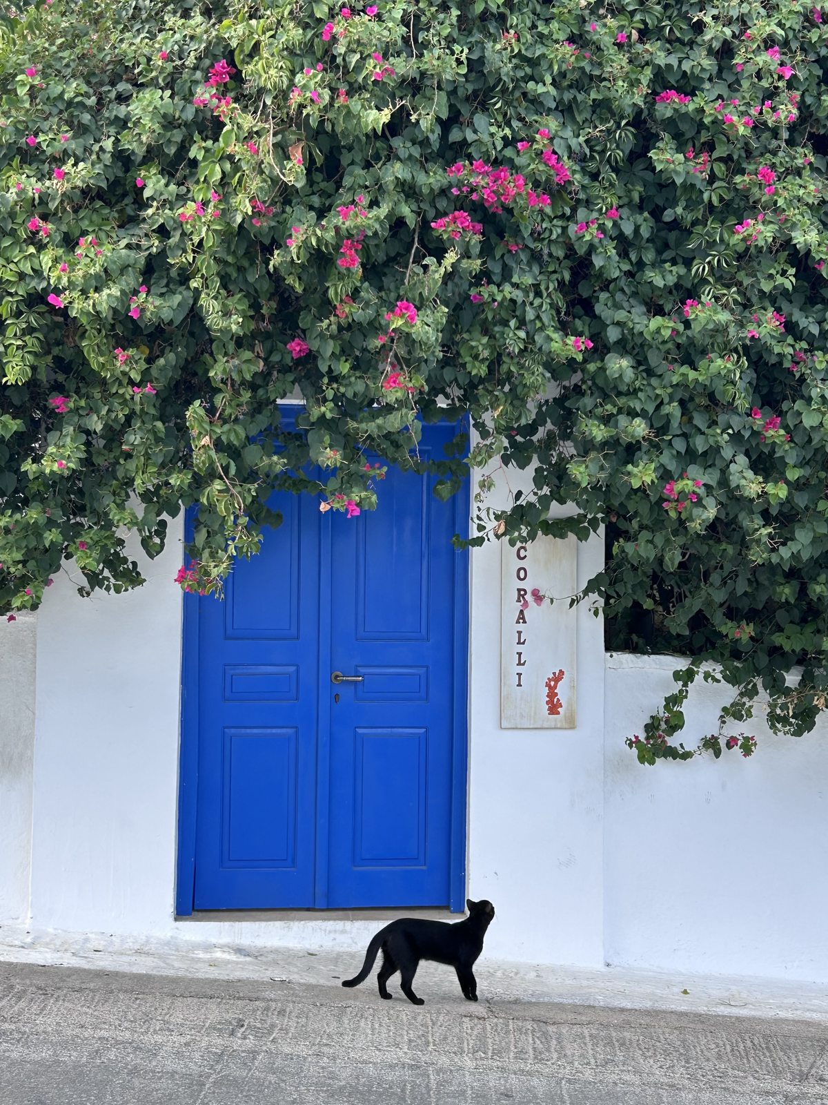 Une porte et une ruelle en voyage